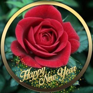 Meet your Posher, Judith